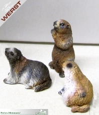 prehm-miniaturen-murmeltiere-set-3-figuren