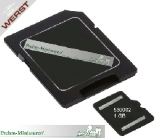 prehm-miniaturen-speicherkarte-und-adapter