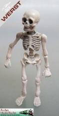 prehm-miniaturen-skelett-mensch