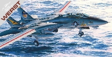 hasegawa-f-14a-tomcat