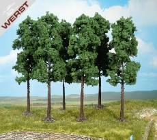 heki-30-hochstammbaume-18-cm
