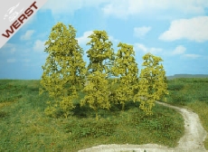 heki-12-naturbaume-hellgrun