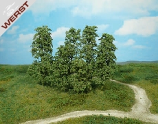 heki-12-naturbaume-dunkelgrun