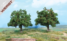 heki-2-apfelbaume-13-cm