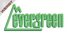 evergreen-kunststoffplatte-1x150x300-mm