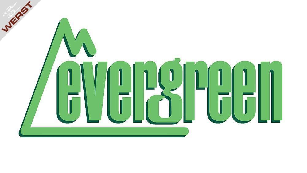 evergreen-kunststoffplatte-1x150x300-mm-2