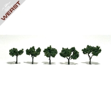 woodland-laubbaume-mittelgrun-3-5-cm-5-stuck