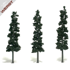 woodland-nadelbaume-18-20-cm-3-stuck