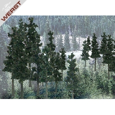 woodland-2-1-2-4-pine-33-pkg