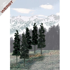 woodland-6-8-pine-12-pkg